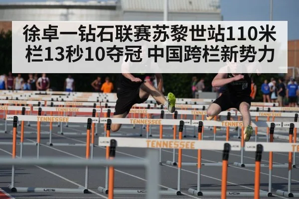 徐卓一钻石联赛苏黎世站110米栏13秒10夺冠 中国跨栏新势力 | j9 game